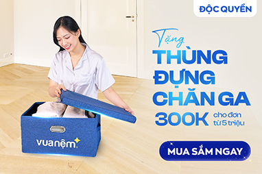 tặng thùng đựng chăn 300k