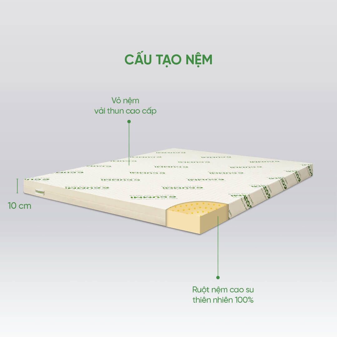 Nệm cao su thiên nhiên Gummi Classic thế hệ mới dày 5/10/15cm - Ảnh 2