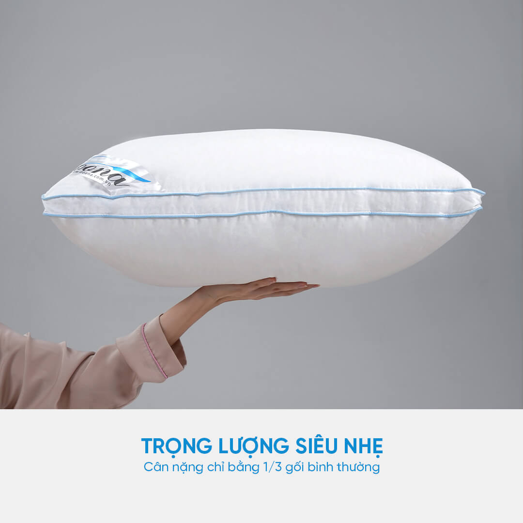 Gối Doona Dream Cloud WDD 70% 45*65*850gr 1221 - Ảnh 3