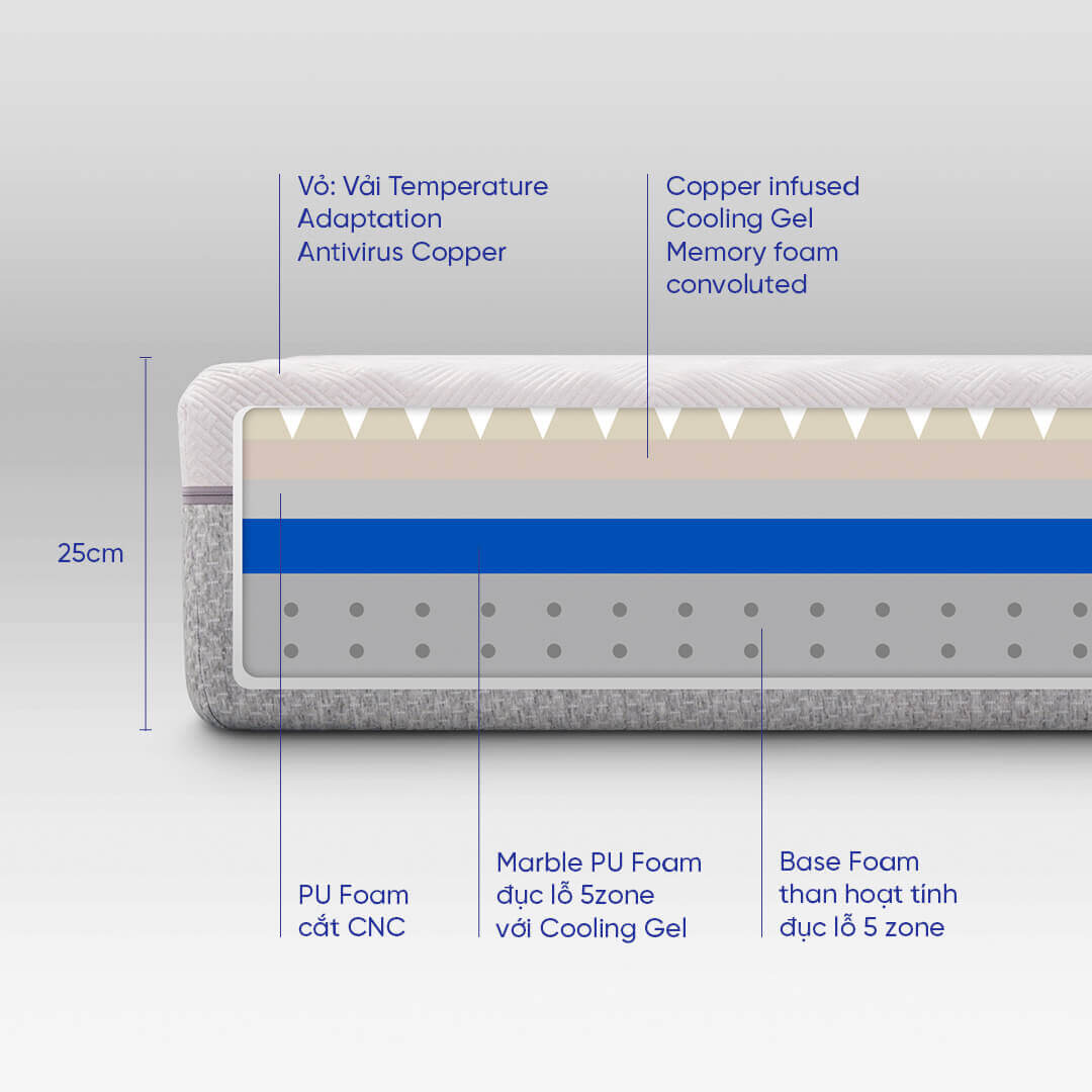 Nệm foam Comfy Lux 3.0 cao cấp tương thích toàn diện dày 25cm - Ảnh 17