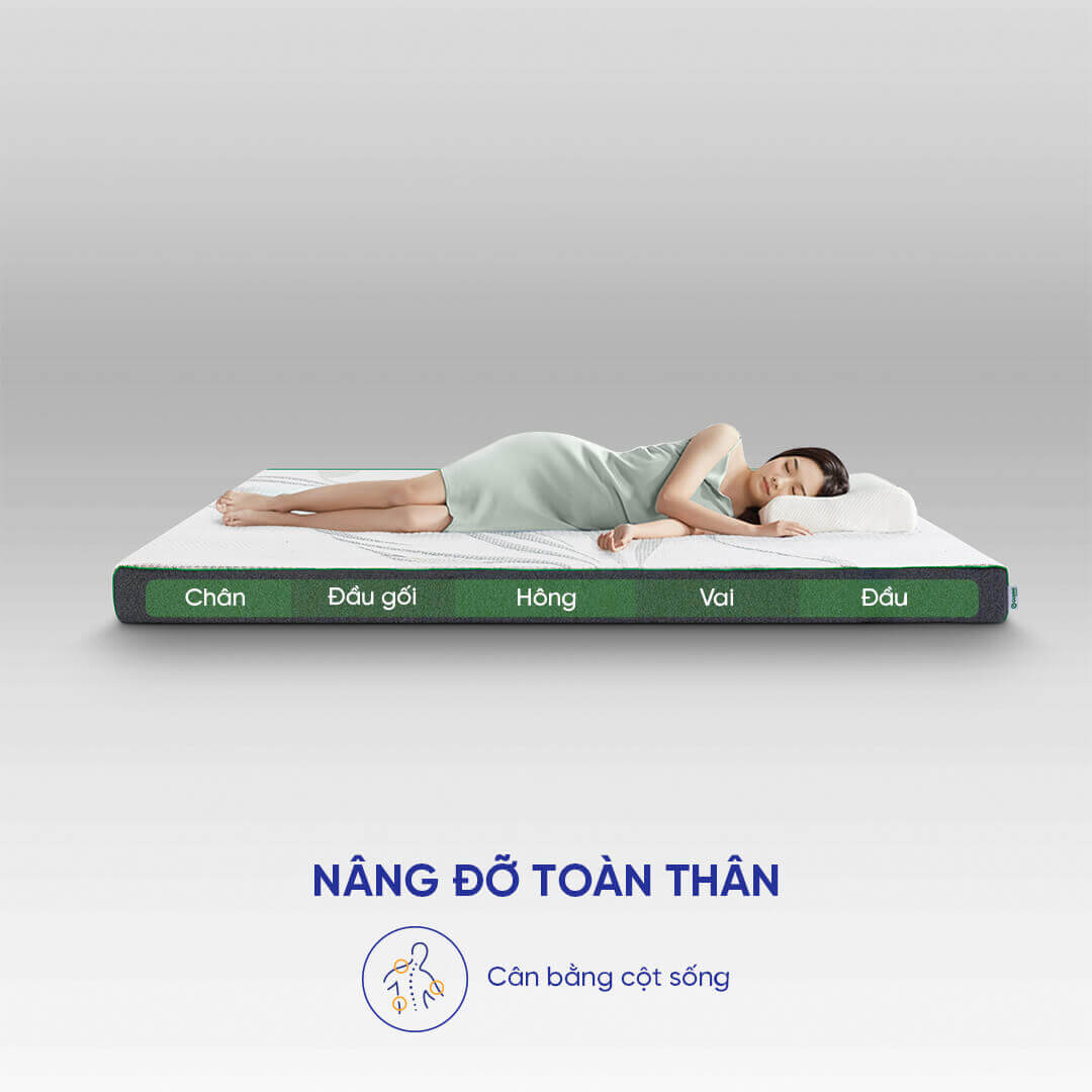 Nệm cao su thiên nhiên Gummi Premium detox giấc ngủ dày 10cm - Ảnh 4