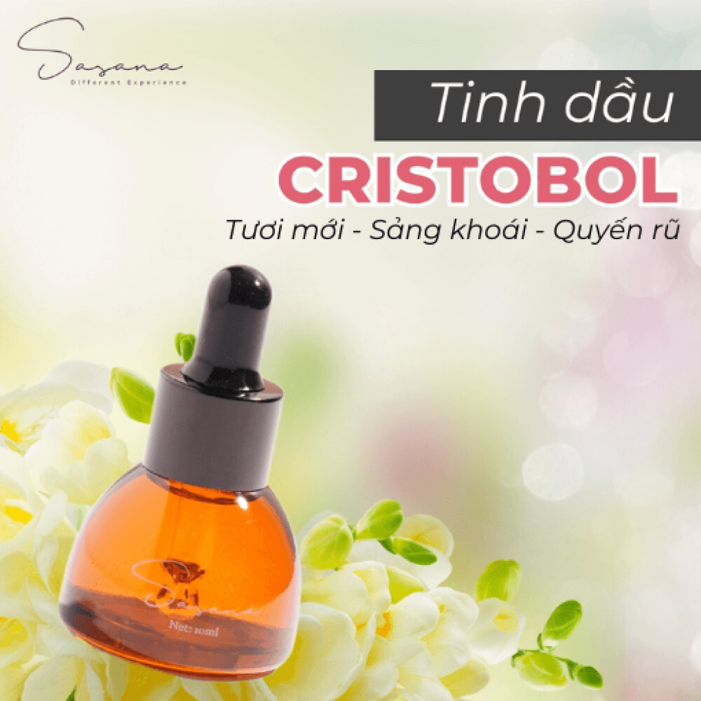 Tinh dầu Cristobol